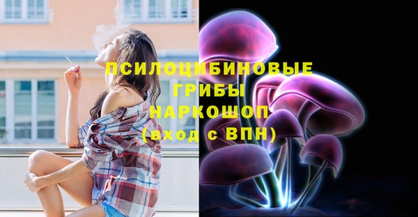 бошки Арсеньев