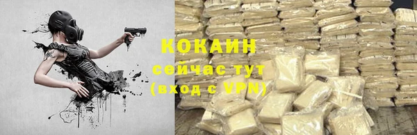 бошки Арсеньев